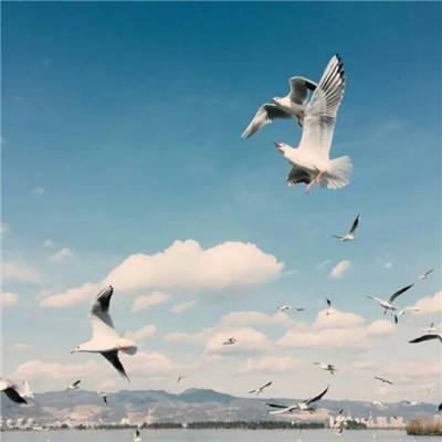 天空城浩劫手游百度版下载